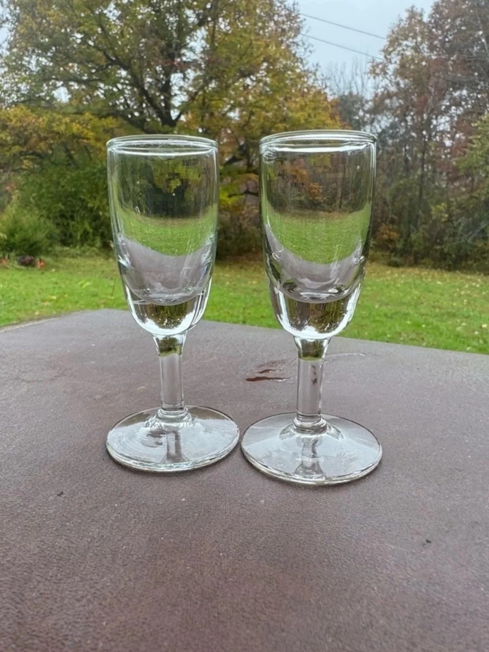 SET OF TWO VINTAGE CORDIAL GLASSES